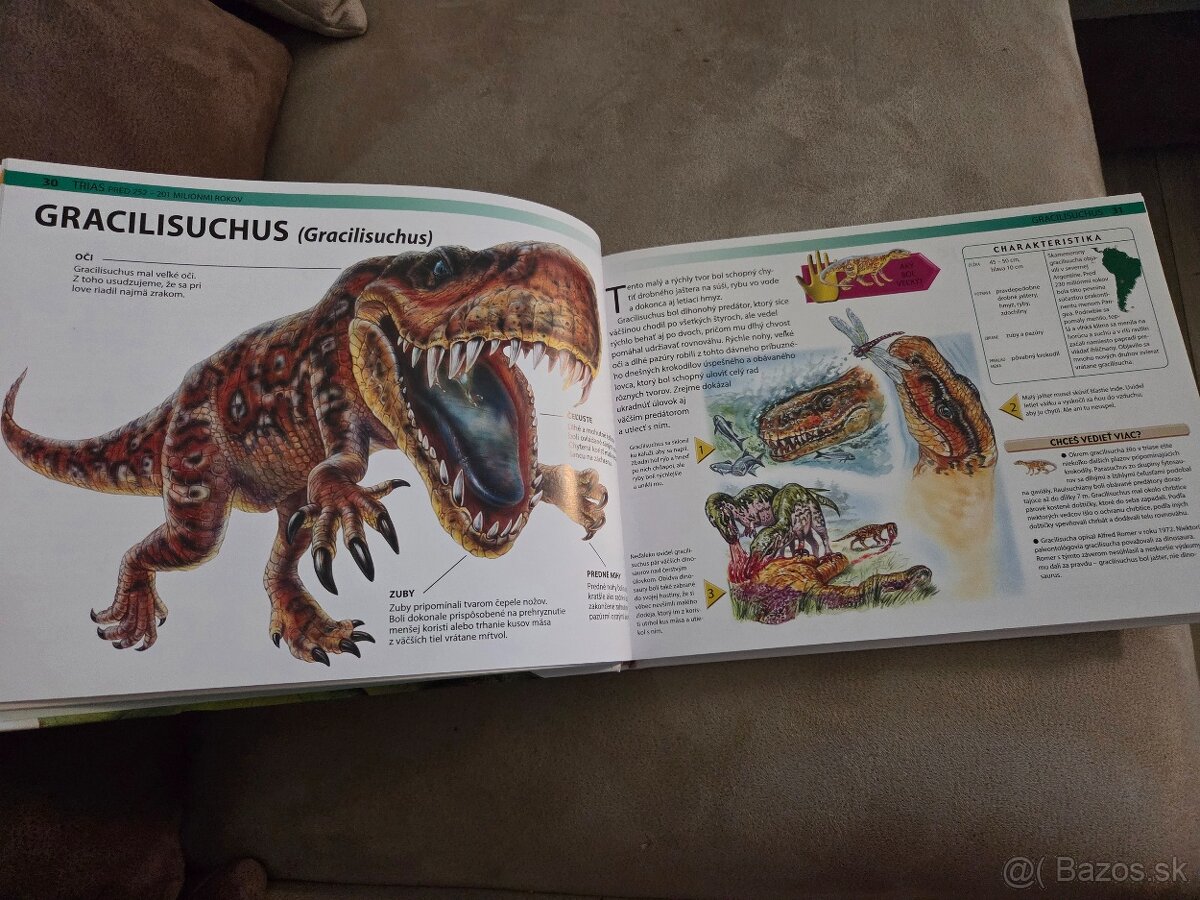 Kniha Dinosaury - 2