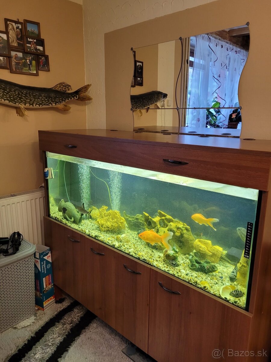 Akvárium - 2