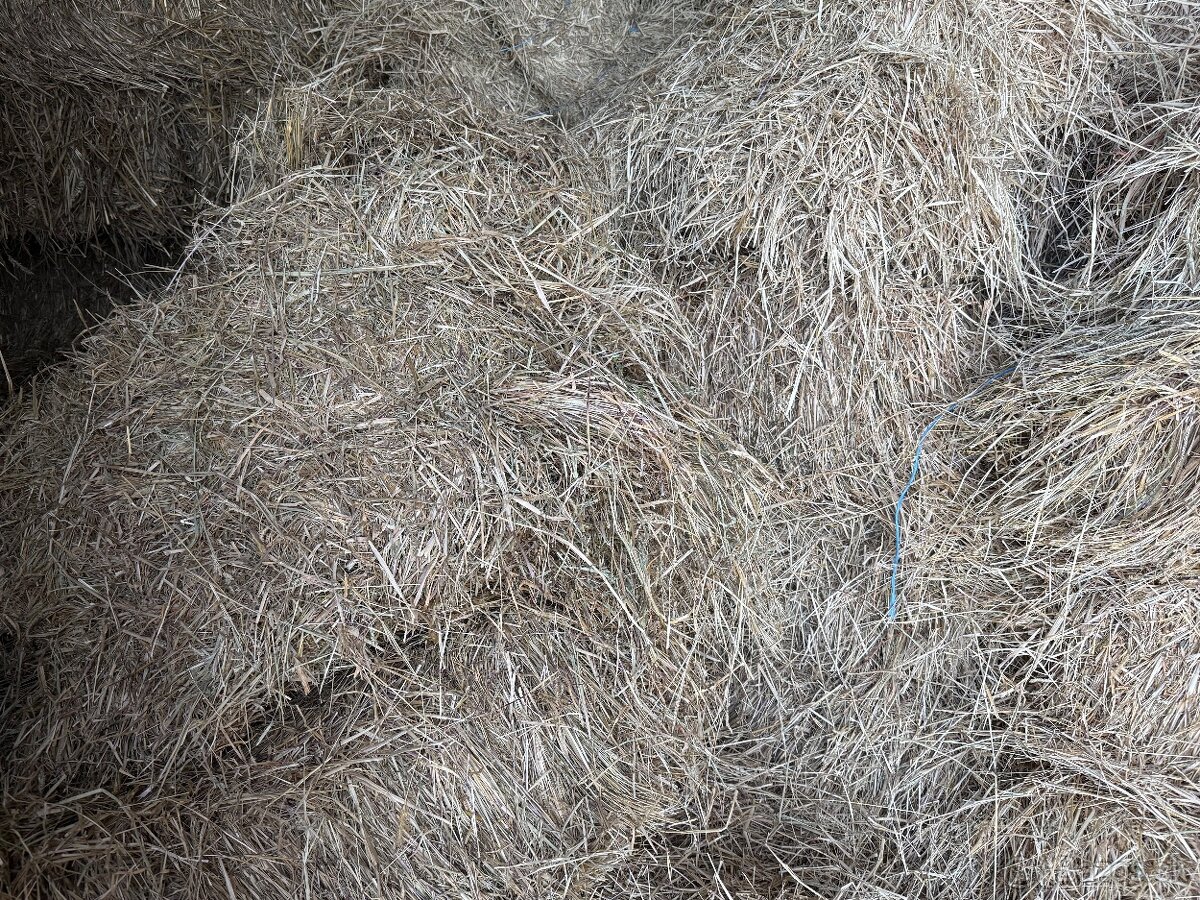 Predám seno - 2