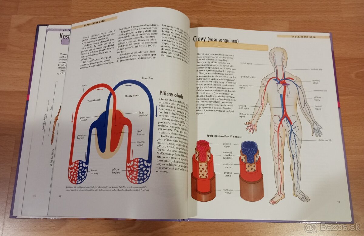 Zem, Ľudské telo Vedomosti v kocke NOVÉ - 2