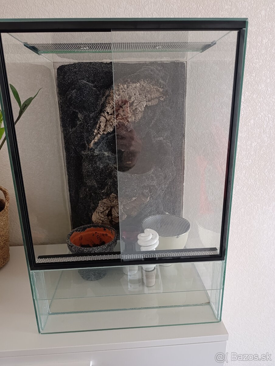 Terárium - 2
