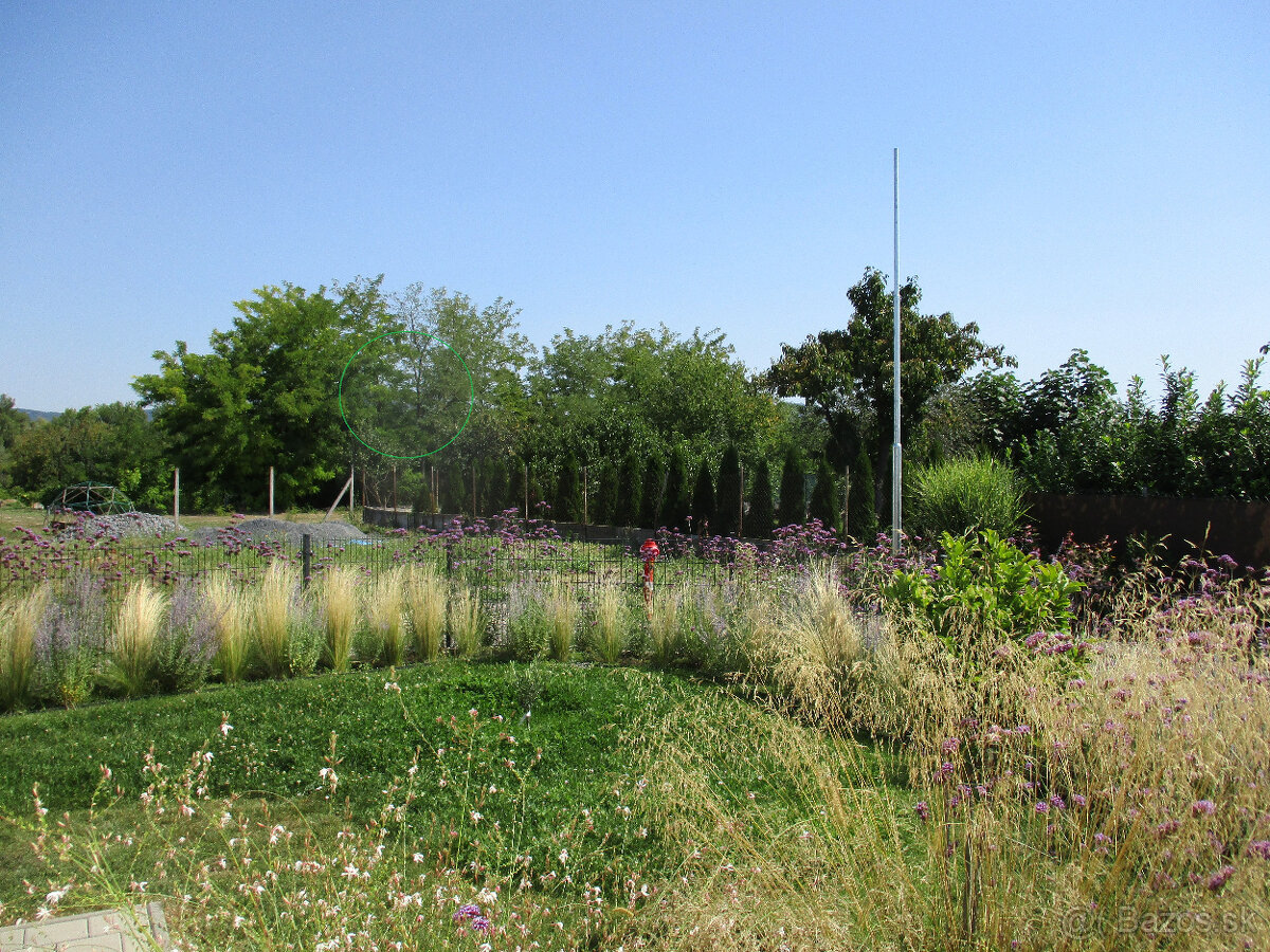 Canon IXUS 185 červený - 20