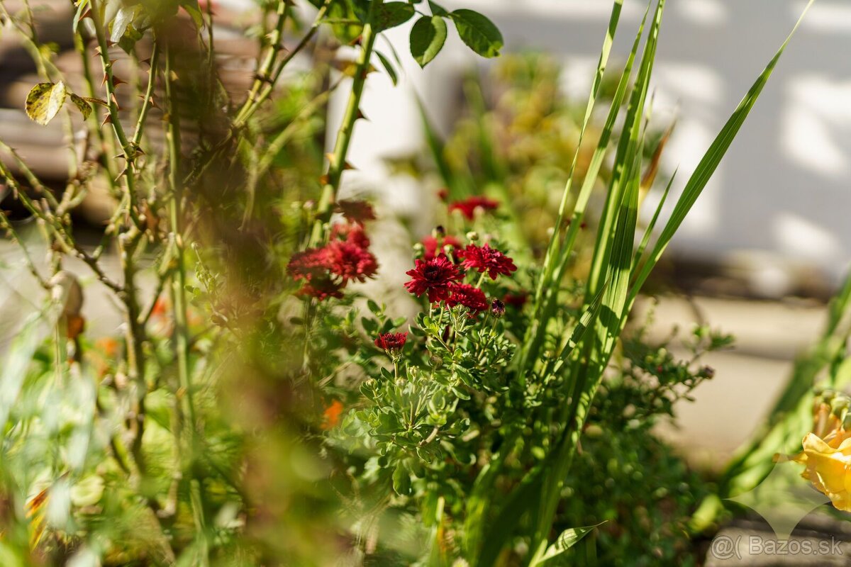 REZERVOVANÉ - Rodinný dom vo Vyhniach – ideálne bývanie pre - 20