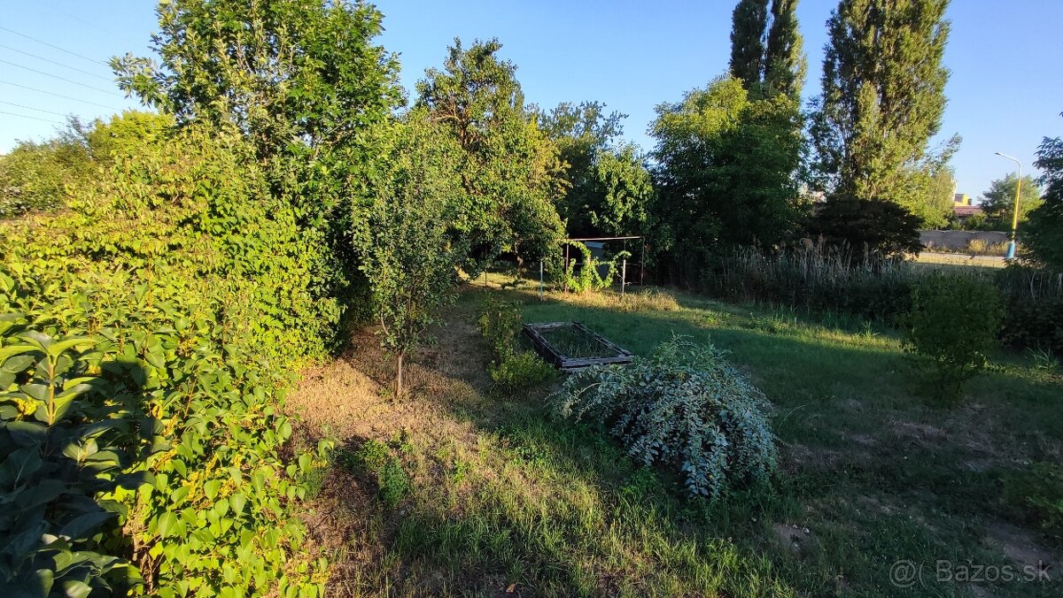 ‼️ZÁHRADA - Košice/Jazero - 361m‼️celoročný prístup‼️ - 20