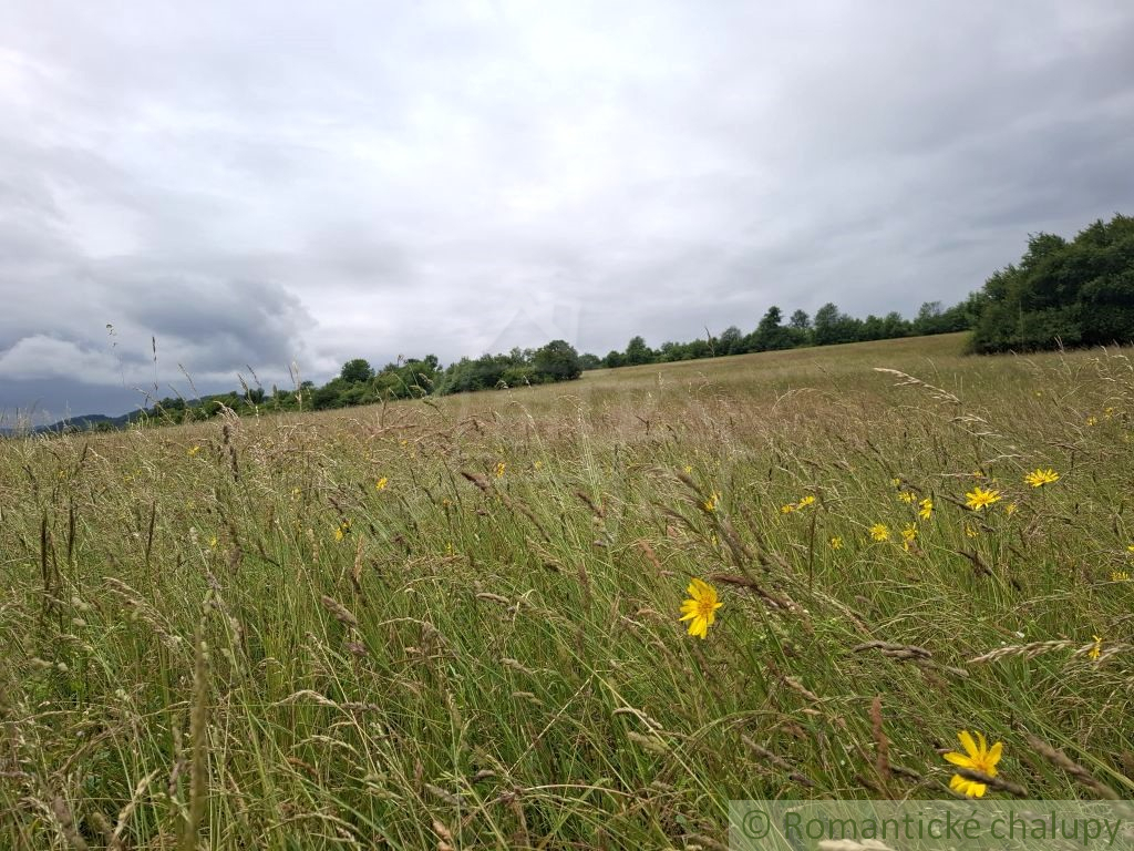 Rodinný dom v srdci Záježovských lazov - 20