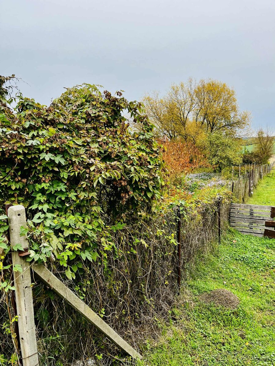 Na predaj RODINNÝ DOM, ZNÍŽENÁ CENASazdice okr. Levice - 20
