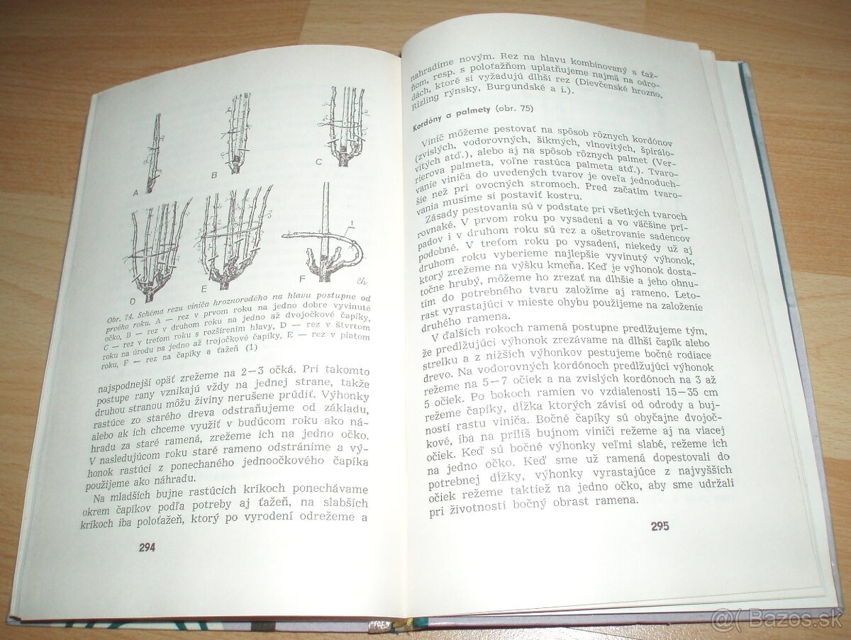 Rez a tvarovanie ovocných drevín - 20