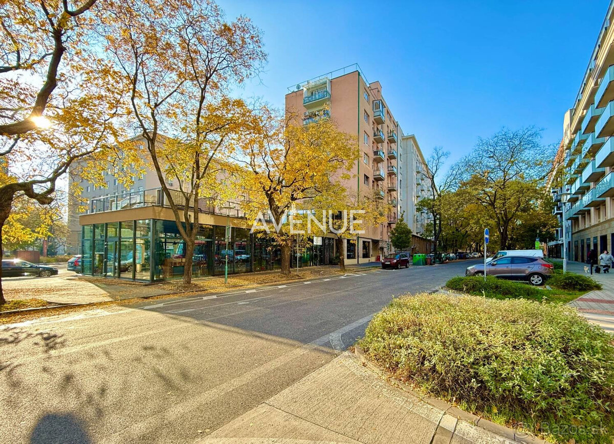 AVENUE I PRENÁJOM, slnečný a priestranný 2i byt v Starom Mes - 20