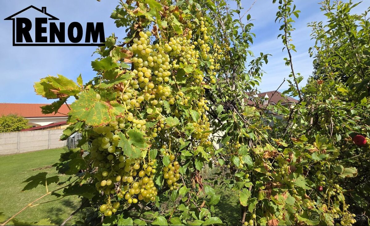 RD na 12ár pozemku // Diakovce - 20