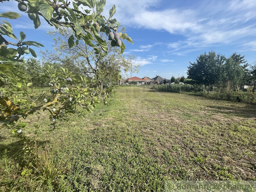 Trojizbový rodinný dom s veľkým pozemkom v Mojmírovciach – - 20