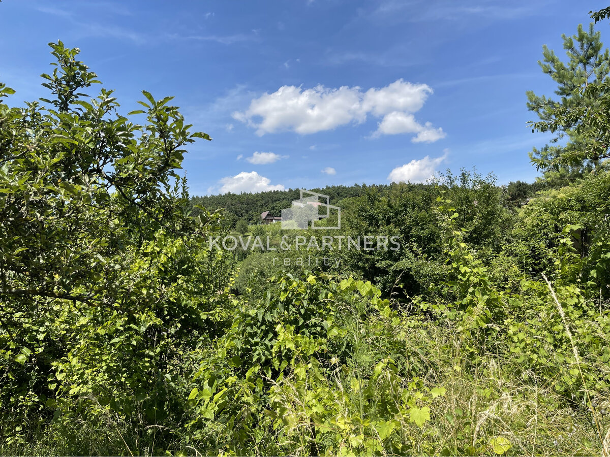 Záhrada s chatkou v Nitre, Dražovce - 20