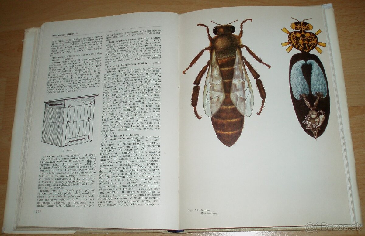 Včelársky náučný slovník - 20