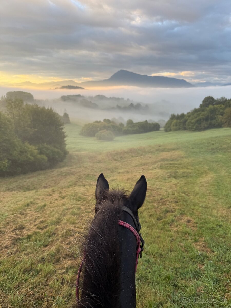 Darčekové poukážky - 20