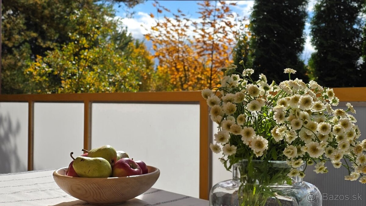 V prekrásnom prostredí prírody - Bojnice Rekreačná - 20