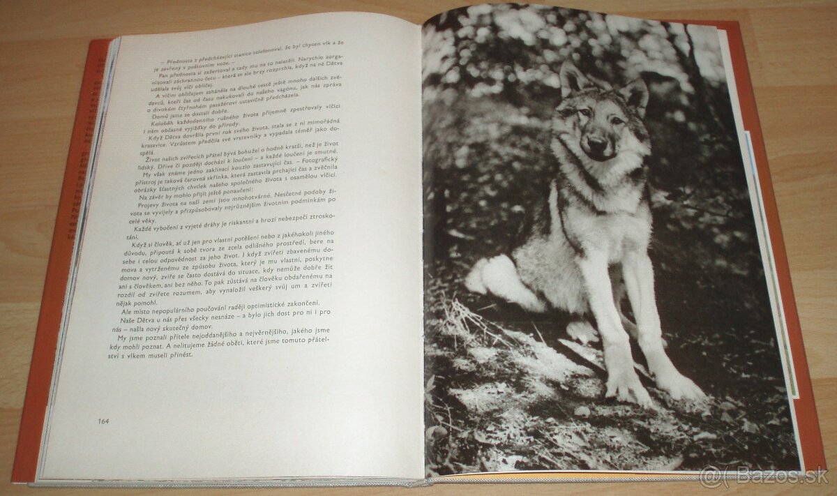 Osamělá vlčice - 20