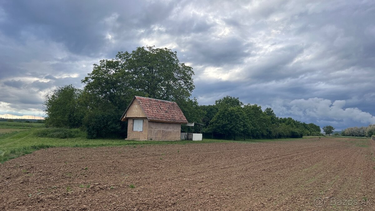 Predám pozemok vo vinicnej časti - 20