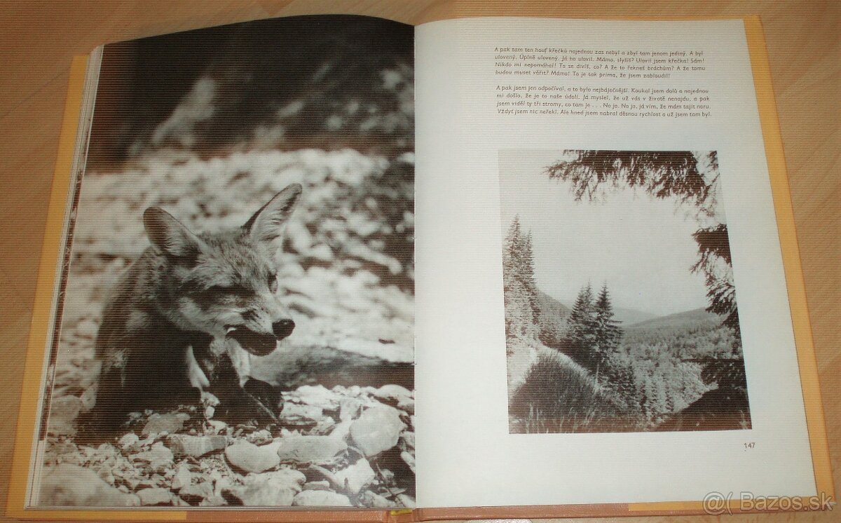 Povídání s liškou - 20