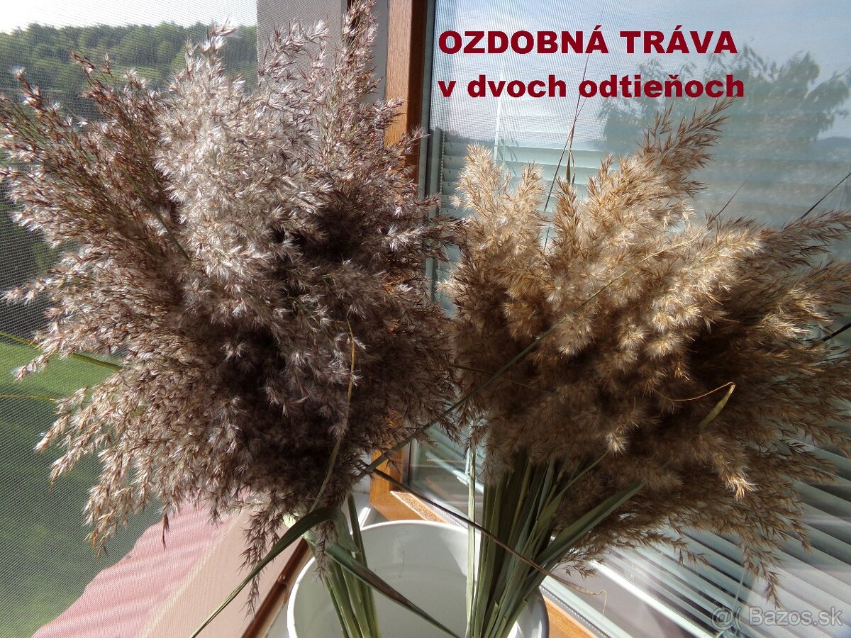 SUŠENÉ KVETY NA ĎALŠIU TVORBU - 20