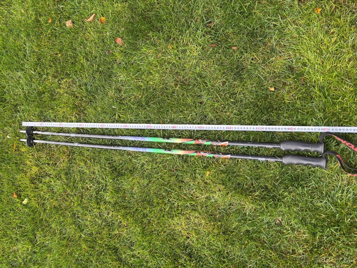 Lyže, palice, bicykle, nosič - 20