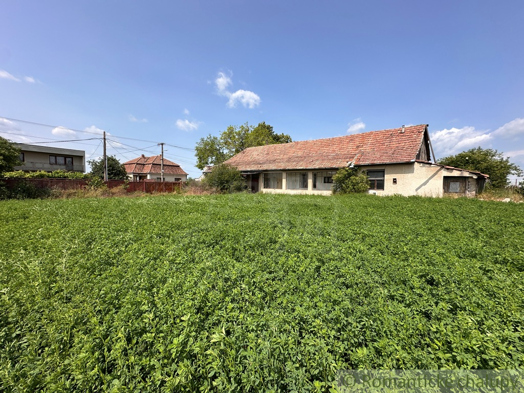 Vidiecky domček s dušou v kúpeľnom meste Nesvady - 20