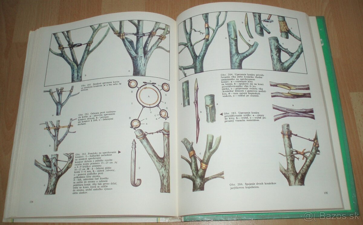 Tvarovanie a rez ovocných drevín - 20