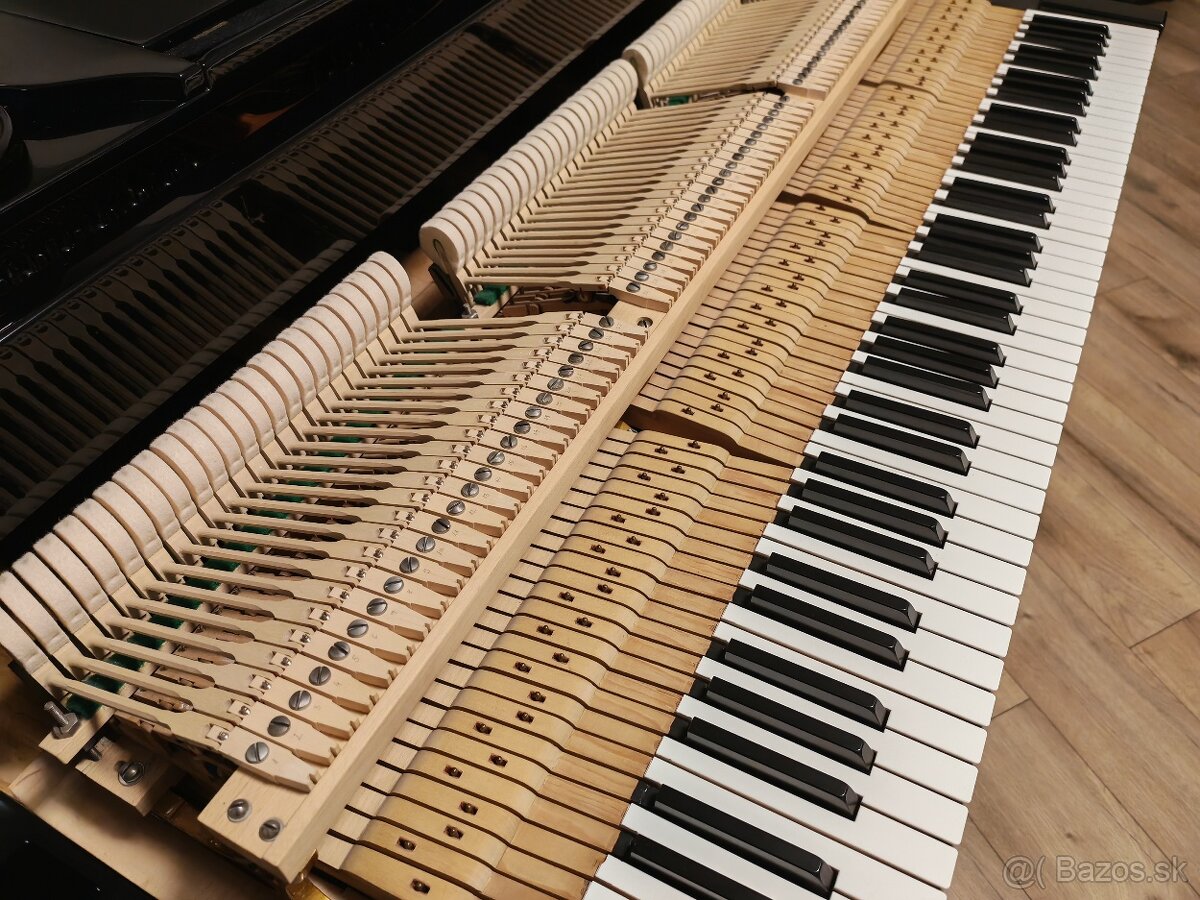 Bösendorfer najvyššia majstrovská kvalita - 20