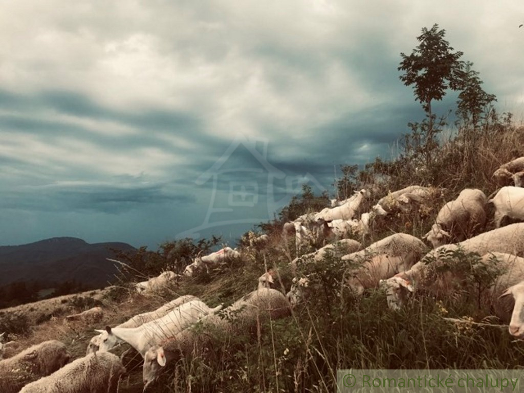 Romantická chalupa s nádherným výhľadom na Sitno – Štiavni - 20