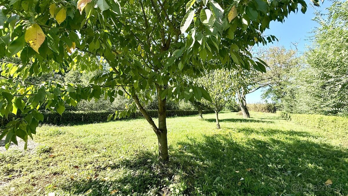 MAĎARSKO - MÉRA PEKNÝ GAZDOVSKÝ RD PO REKONŠTRUKCII. - 20