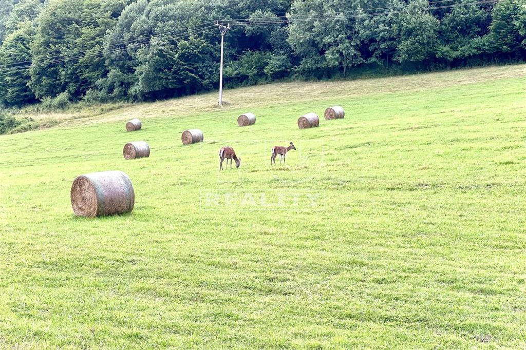 ZNÍŽENÁ CENA – Výnimočný RD 4KK v obci Horný Vadičov - 20
