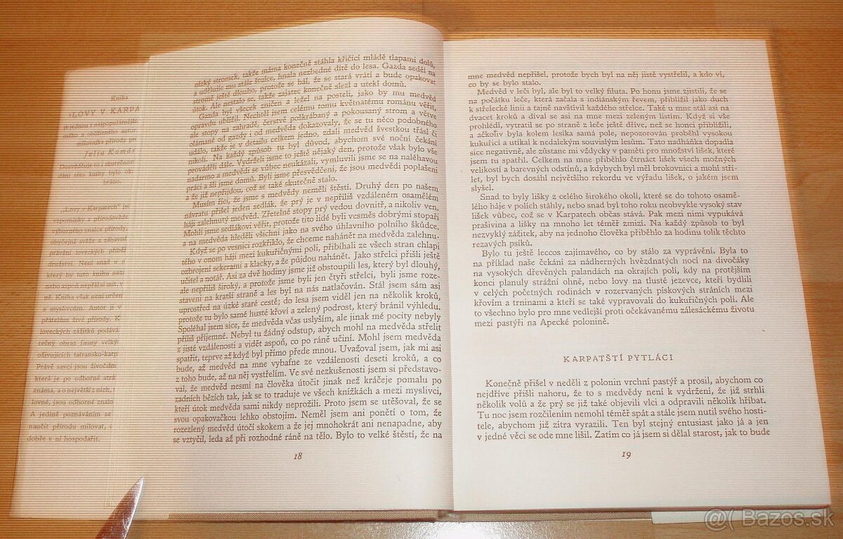 Lovy v Karpatech - 20