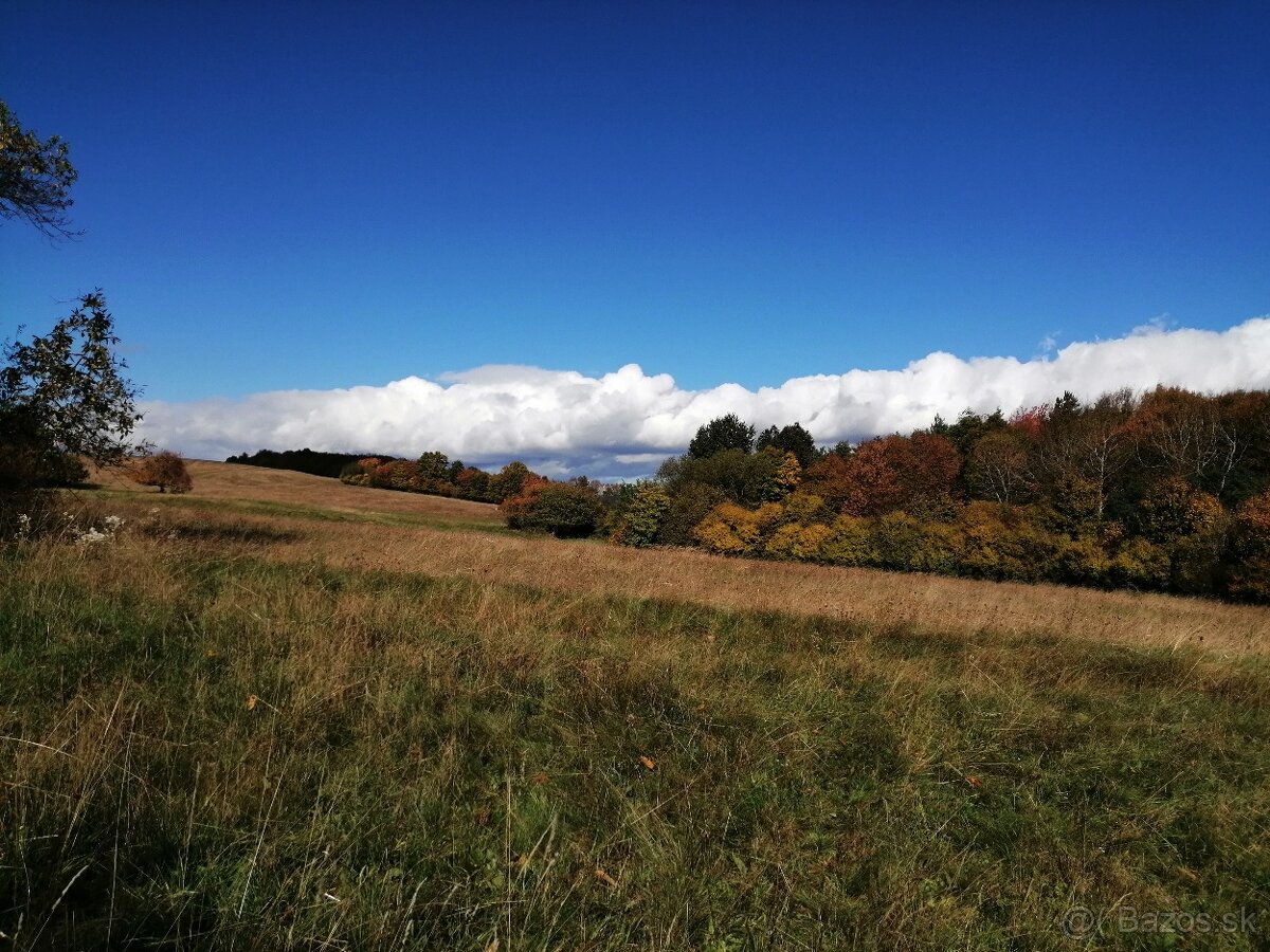 Predám usadlosť na polosamote - 20