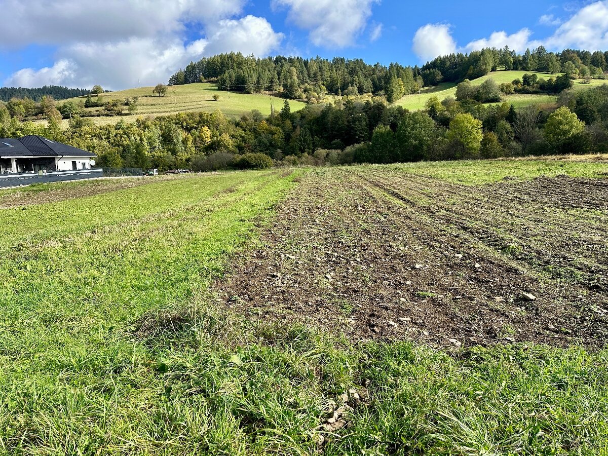 Na predaj pozemok Veľká Franková, vhodný na RD alebo chaty. - 20