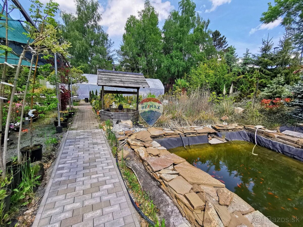 Záhradné centrum na prenájom, 1800m2, Snina - 20