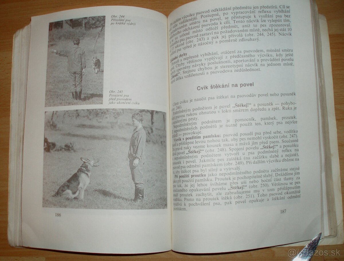 Pes a jeho výcvik - 20