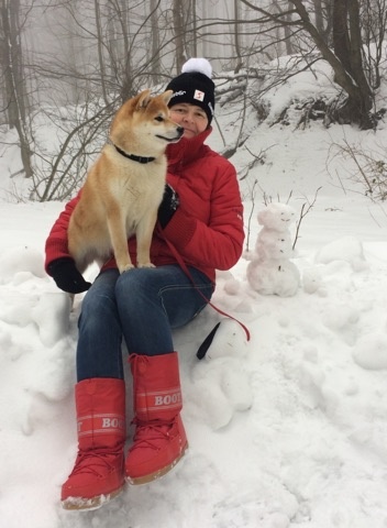 Shiba inu s PP /FCI / - 20