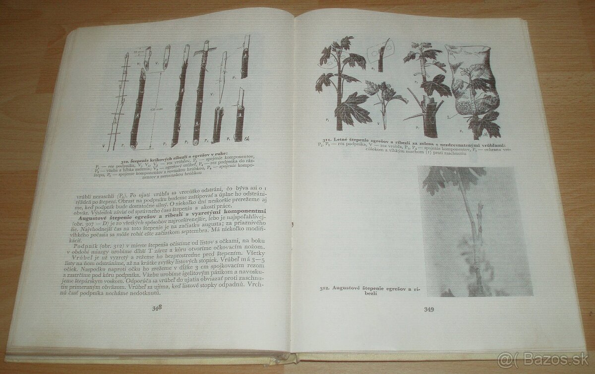 Štepenie, očkovanie a preštepovanie drevín - 20