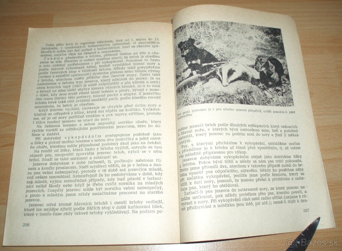 Práce psa při lovu - 20