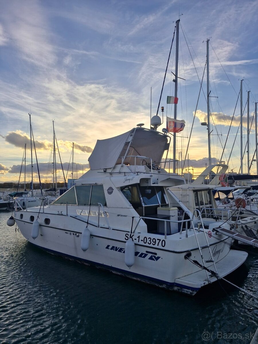 SALPA LAVER 40 FLY - 20