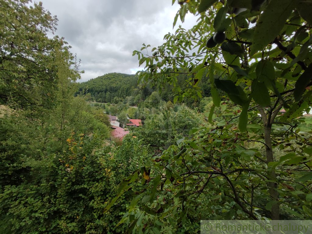 Dom / chata / drevenica vhodná na oddych, turistiku a špor - 20