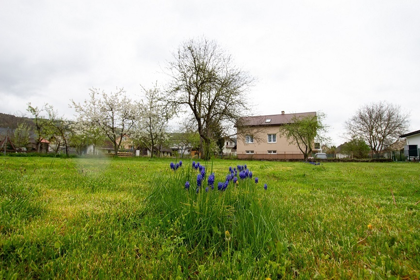 RD Bardejovská Nová Ves, Bardejov - 20