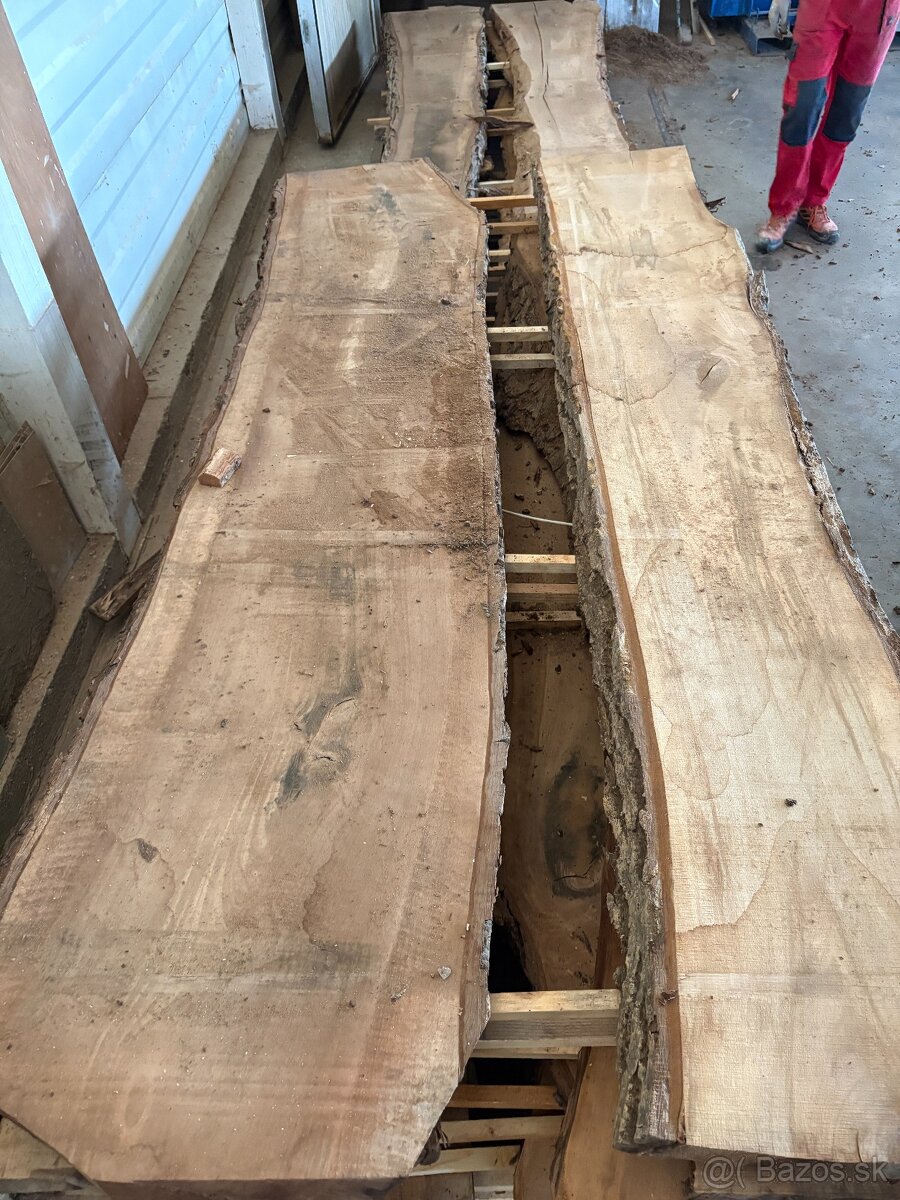 Vysušené orechové fošne, orech, 52 a 60 mm - 20