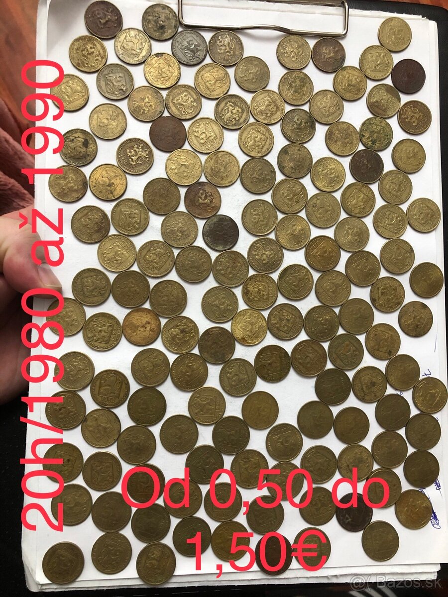 Mince (50h/10h/20h) - 20