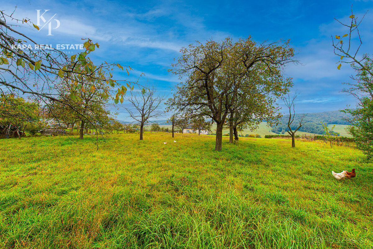 Pozemok na predaj, obec Mestisko, okres Svidník - 20