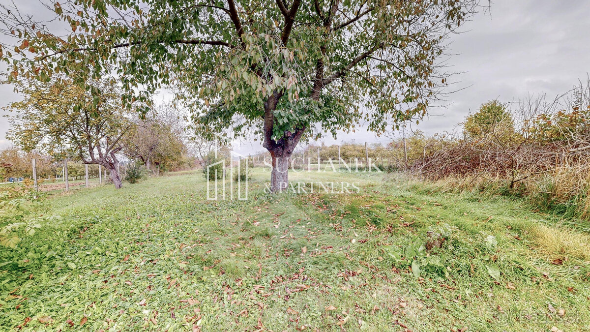 Predaj | Rodinný dom Nedanovce - 20