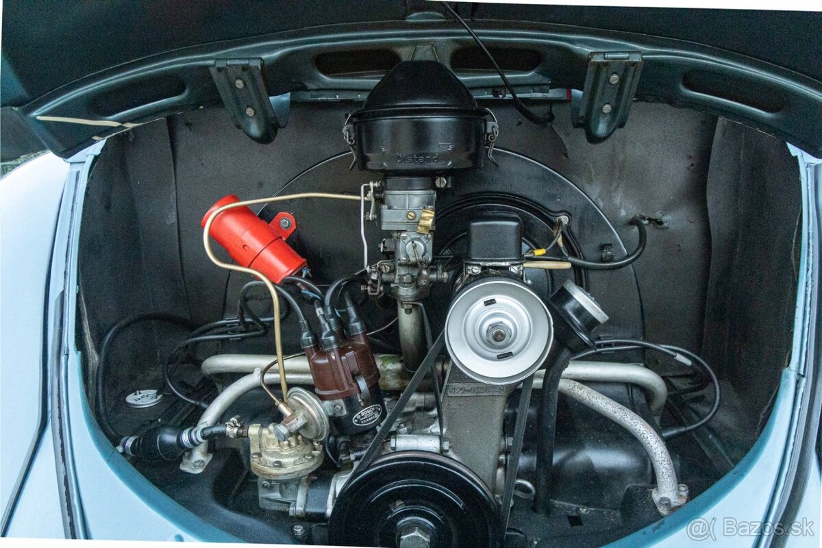 Volkswagen Beetle - 20