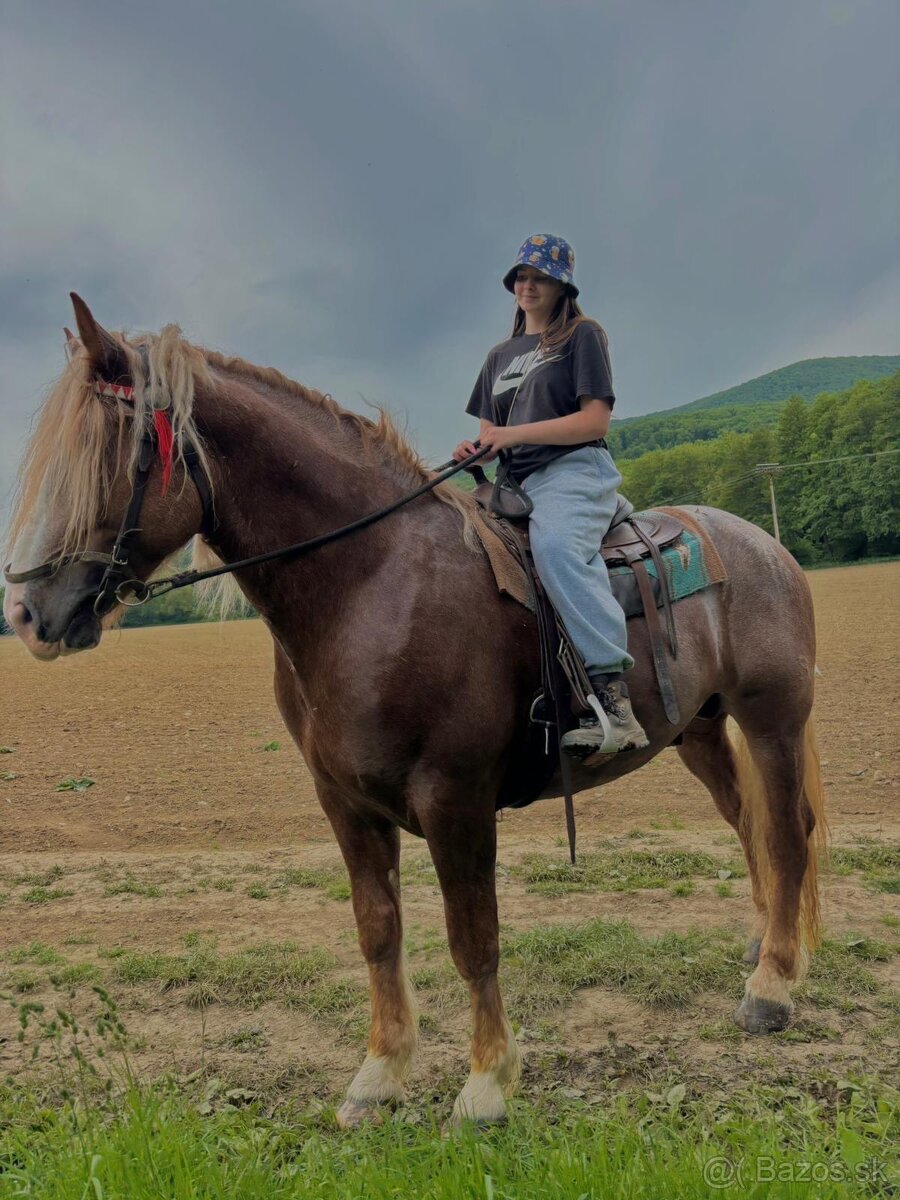 Pripúšťanie plemennými žrebcami - 20