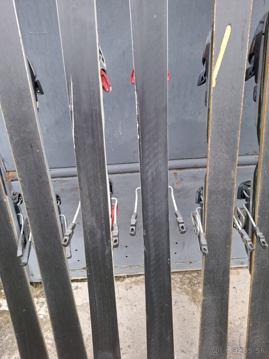 Predám zjazdové lyže Fischer, Nordica, Techno. - 20