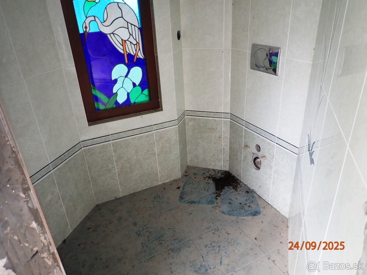 Rodinný dom súp. č. 165, Nižná Rybnica, okr. Sobrance - 20