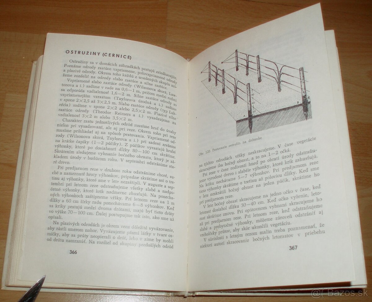 Rez a tvarovanie ovocných drevín - 20