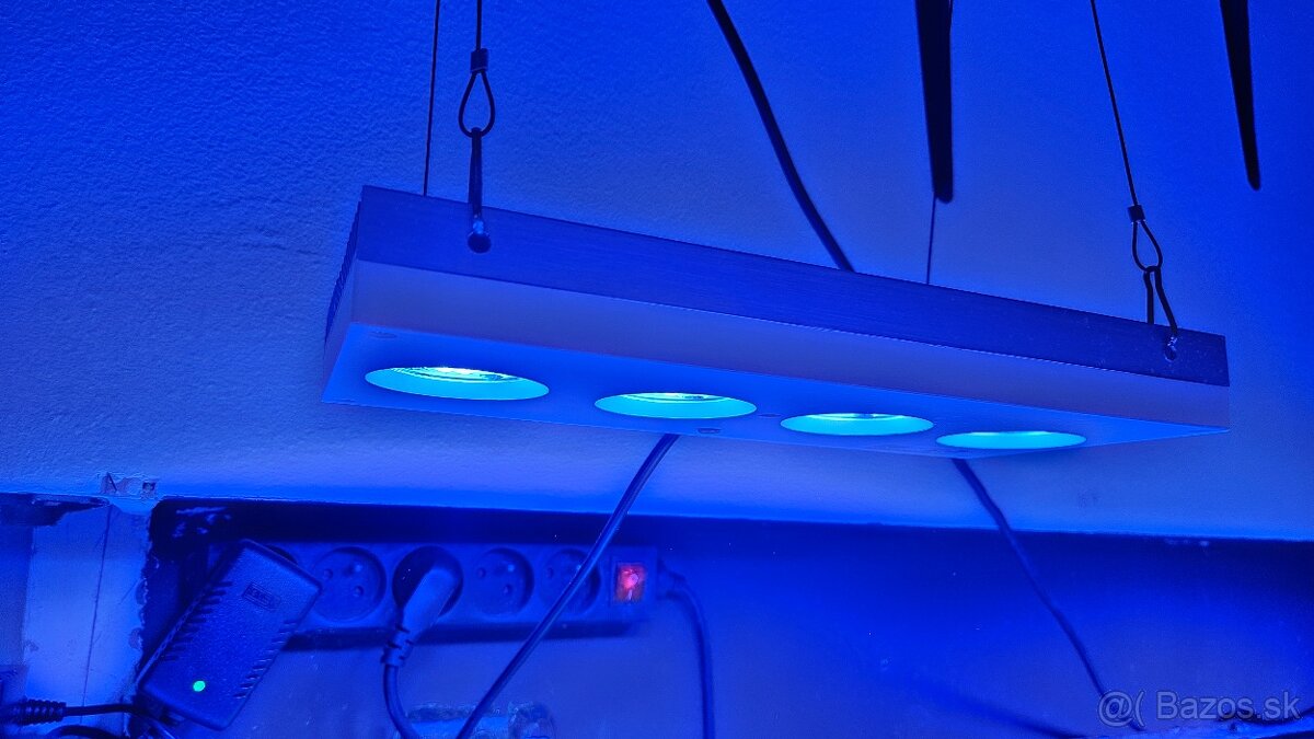 Predám kompletné morské akvárium – rozmer 150 × 57 × 50 cm - 20